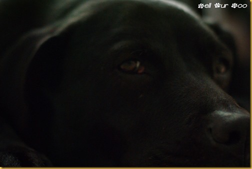 Matt Wordless Wednesday-2 March 29th (FC)