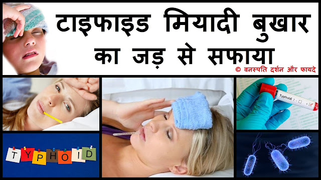 Get Rid of Typhoid from Root within 3 Days 