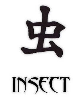 Kanji Insect Tattoo Symbols