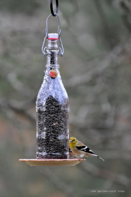 Goldfinch Birdhouse Plans