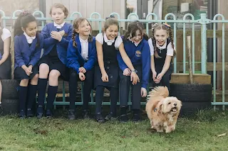 Implementation of Safety Measures for preventing stray dog attacks on children