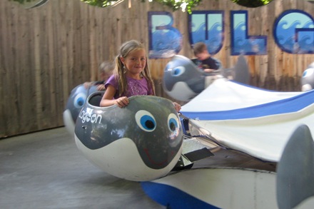 IMG_0099 IMG_0099