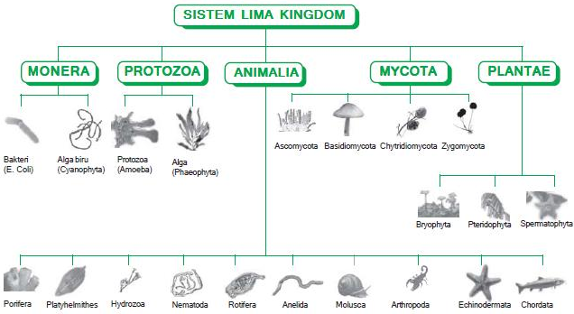 KEGIATAN MANUSIA YANG MEMPENGARUHI BIODIVERSITAS DAN 