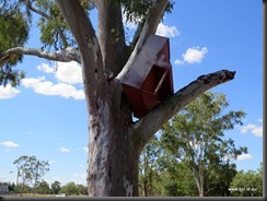 180429 029 Clermont 1916 Flood Piano in a Tree