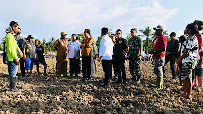Presiden Jokowi Tinjau Food Estate di Kabupaten Keerom Papua