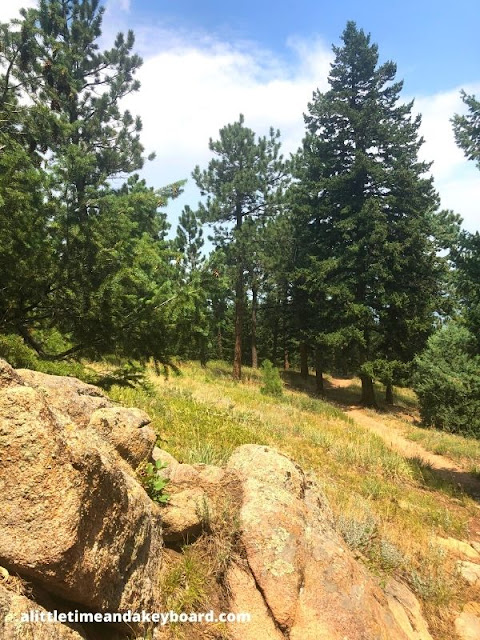 Boulders and bristly evergreen pines crafted a contrast.