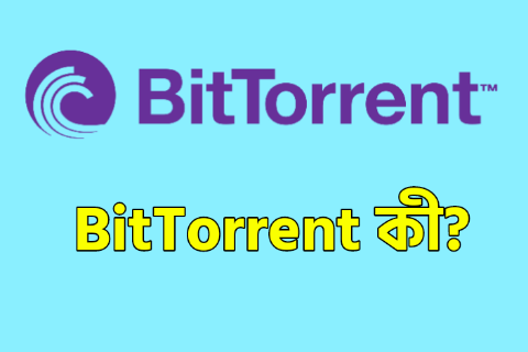 BitTorrent কী? Bitorrent কিভাবে কাজ করে?