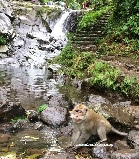 [http://FindWisata.blogspot.com] Air Terjun Curug Nangka, Air Terjun Tersembunyi Yang Memiliki Potensi Alam Yang Sangat Indah