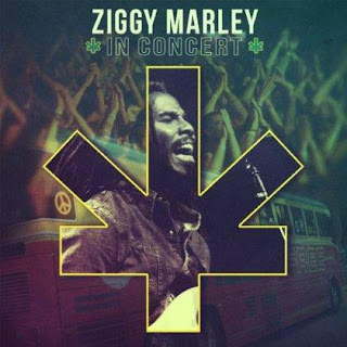 1358032013 b009tkblvo.01. sx420 sclzzzzzzz v399822390  Ziggy Marley – In Concert (2013)