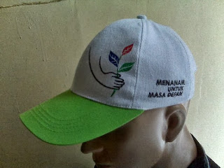 Topi