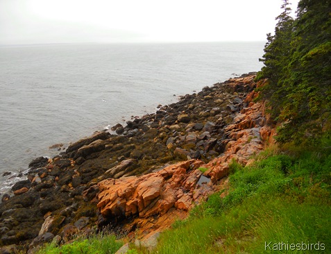 5. rocky coast-kab