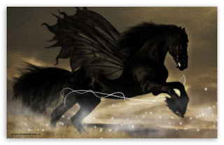 Beautiful Black Horse hd Wallpaper