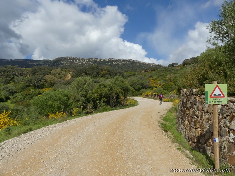 Carril Cicloturista Camino de Ojén