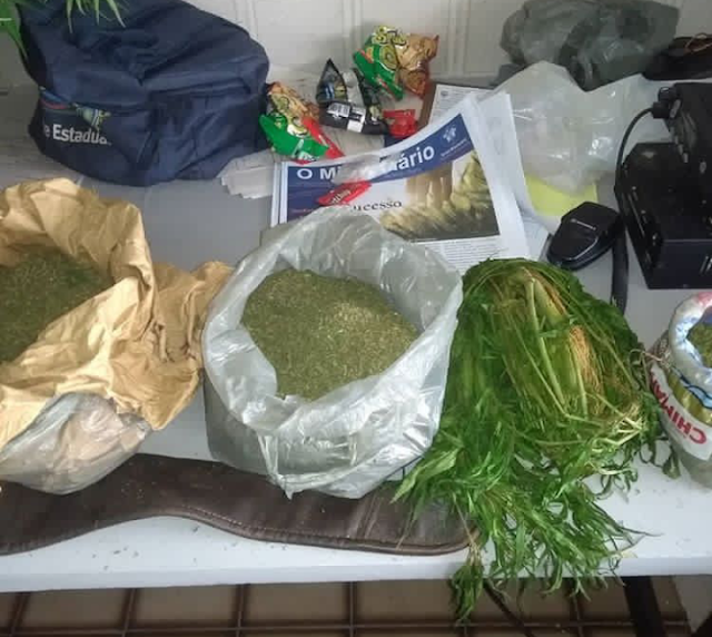 Em Olho D'Água do Casado, operação policial resulta na apreensão de maconha, munição  e de um menor 