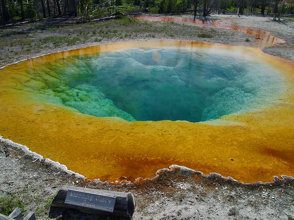 morning glory pool