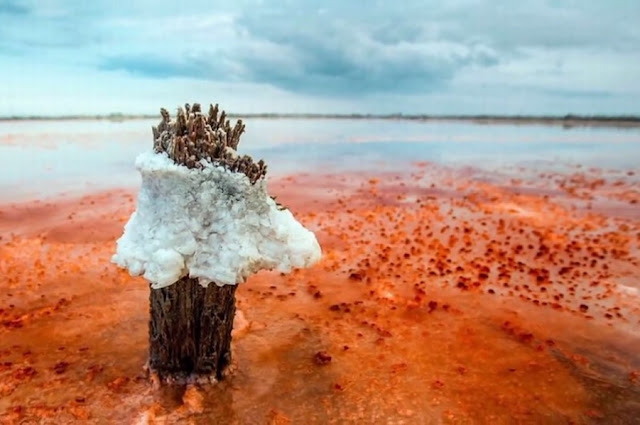 Uniknya Danau Merah Darah Di Ukraina !!