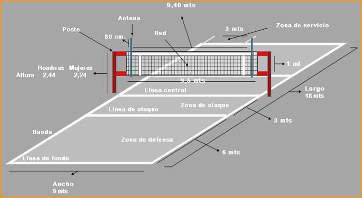 Medidas de la cancha de