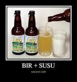 Bir Susu