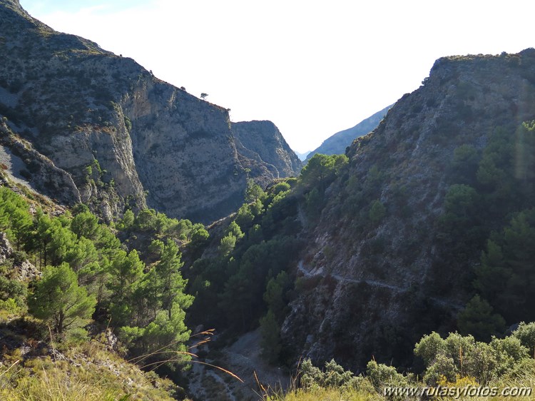 Pinarillo - Navachica - Barranco de los Cazadores