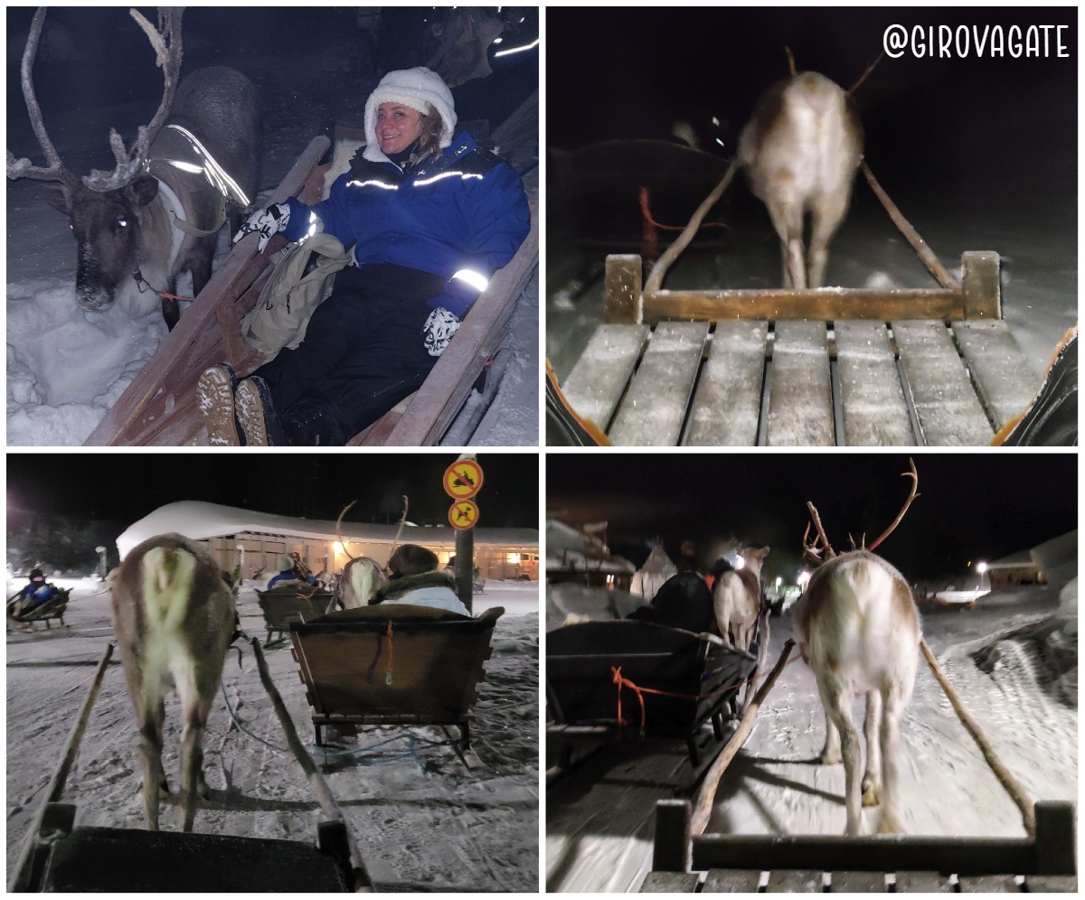 Salla Northern lights reindeer safari