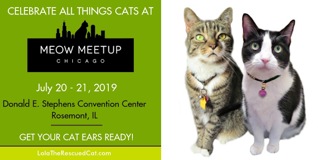 Meow Meet Up Chicago