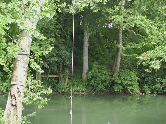 Green river in Summer time with rope swing