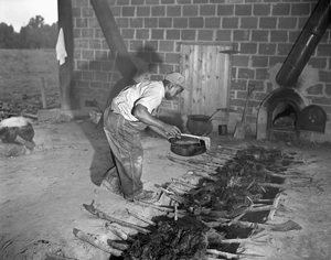 A Barbecue in North Carolina