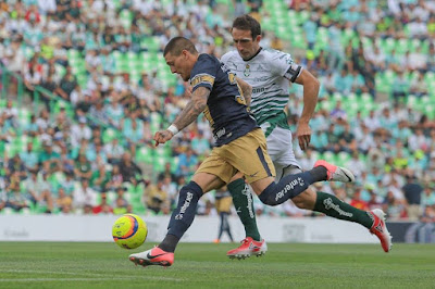 Pumas regresa zona Liguilla 