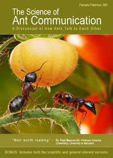 The Science of Ant Communication