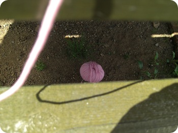 Mai 2009 018
