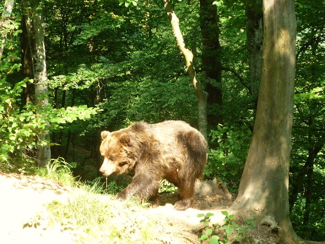 Altopiano della Paganella