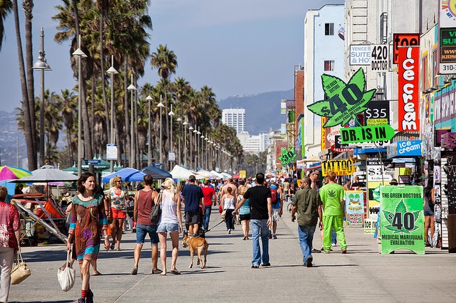 venice-beach-live-webcam