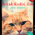 İçinizi Isıtacak Bir Kitap: Sokak Kedisi Bob