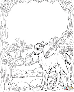 Baby Llama With Owl At Forest Coloring Sheets Picture