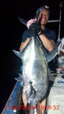 jigging ikan gt di laut padang