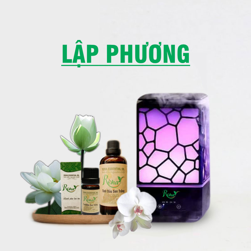 Máy Khuếch Tán Tinh Dầu Lập Phương