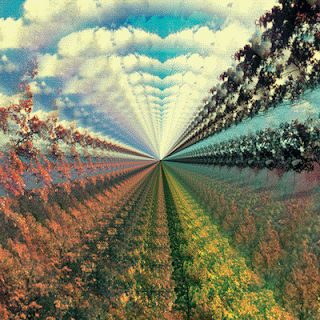 Tame Impala"Innerspeaker"2010 Australia Psych Rock double LP debut album (Rolling Stone’s 200 Greatest Australian Albums of All Time)