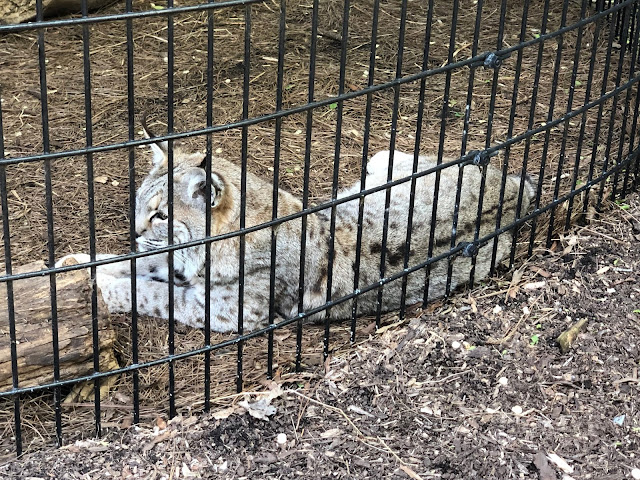 The Chattanooga Zoo