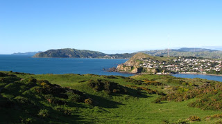 Titahi Bay green