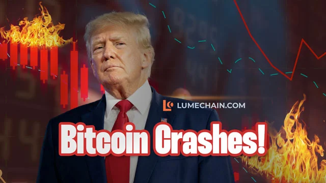 Bitcoin Crashes!