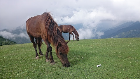 Himachal pradesh best tourists place
