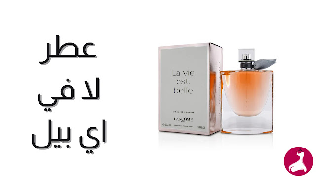 افضل عطور نسائية, عطر حريمي, برفان, عطر, عطور, برفانات, العطر, العطور النسائية, عطر نسائي, العطر الحريمي, سي ارماني الاحمر, عطر سي, عطر ميس ديور, مس ديور, بلاك اوبيوم, عطر بلاك اوبيوم, عطر لا في اي بيل, لا في اي بيل, عطر ليدي ميليون, ليدي ميليون, برفان ليدي ميليون, برفان سي, برفان لا فيل اي  بيل, برفان بلاك اوبيوم, برفان ميس ديور