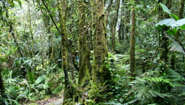 'Ditegur' Jin Tanah Di Kem Lolo