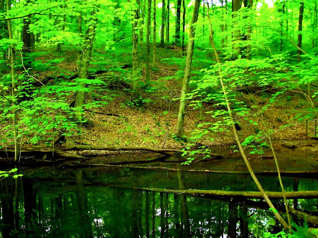 Hiking at Harmonie State Park