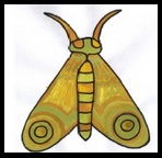 moth, cute moth, draw moth, how does moth look, easy moth