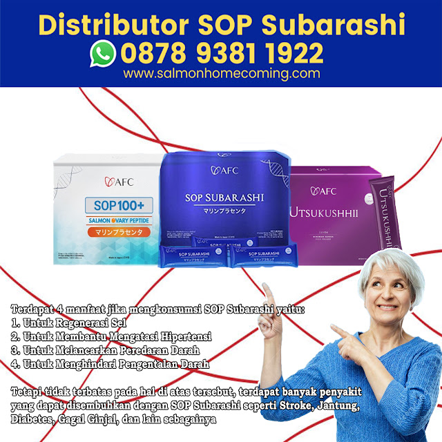 SOP Subarashi Patent