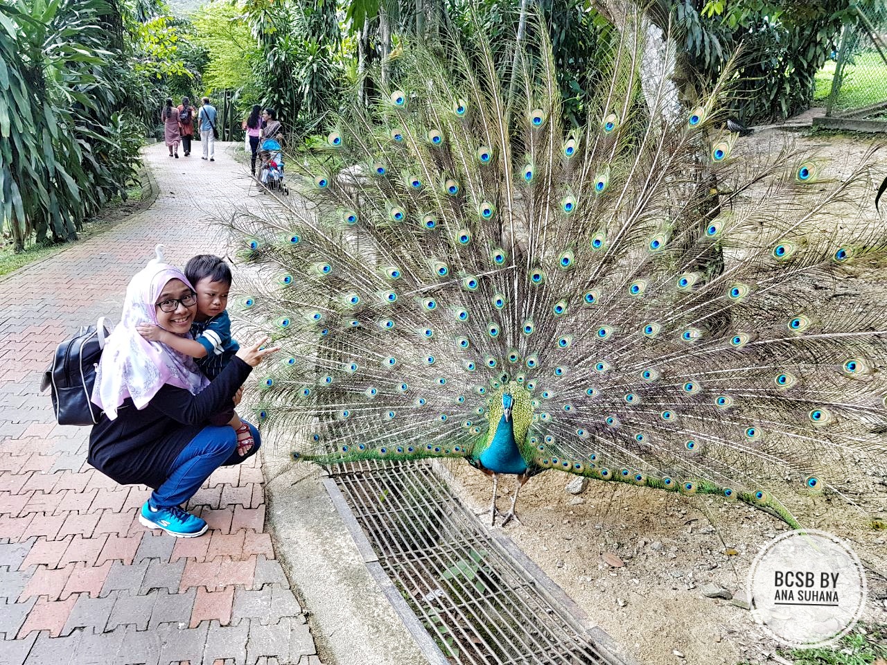 Jalan jalan di Taman Burung Kuala Lumpur KL Bird Park 