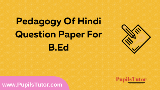 Pedagogy Of Hindi Question Paper For B.Ed 1st And 2nd Year And All The 4 Semesters Free Download PDF