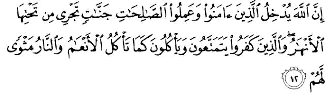 Surat Muhammad ayat 12