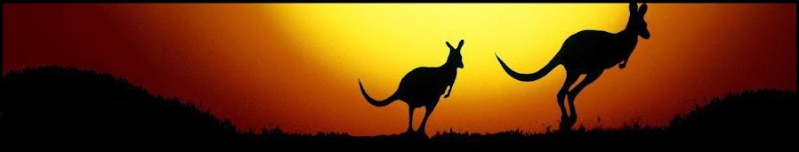 The Unheroic Journey: Adam's Adventures in Oz